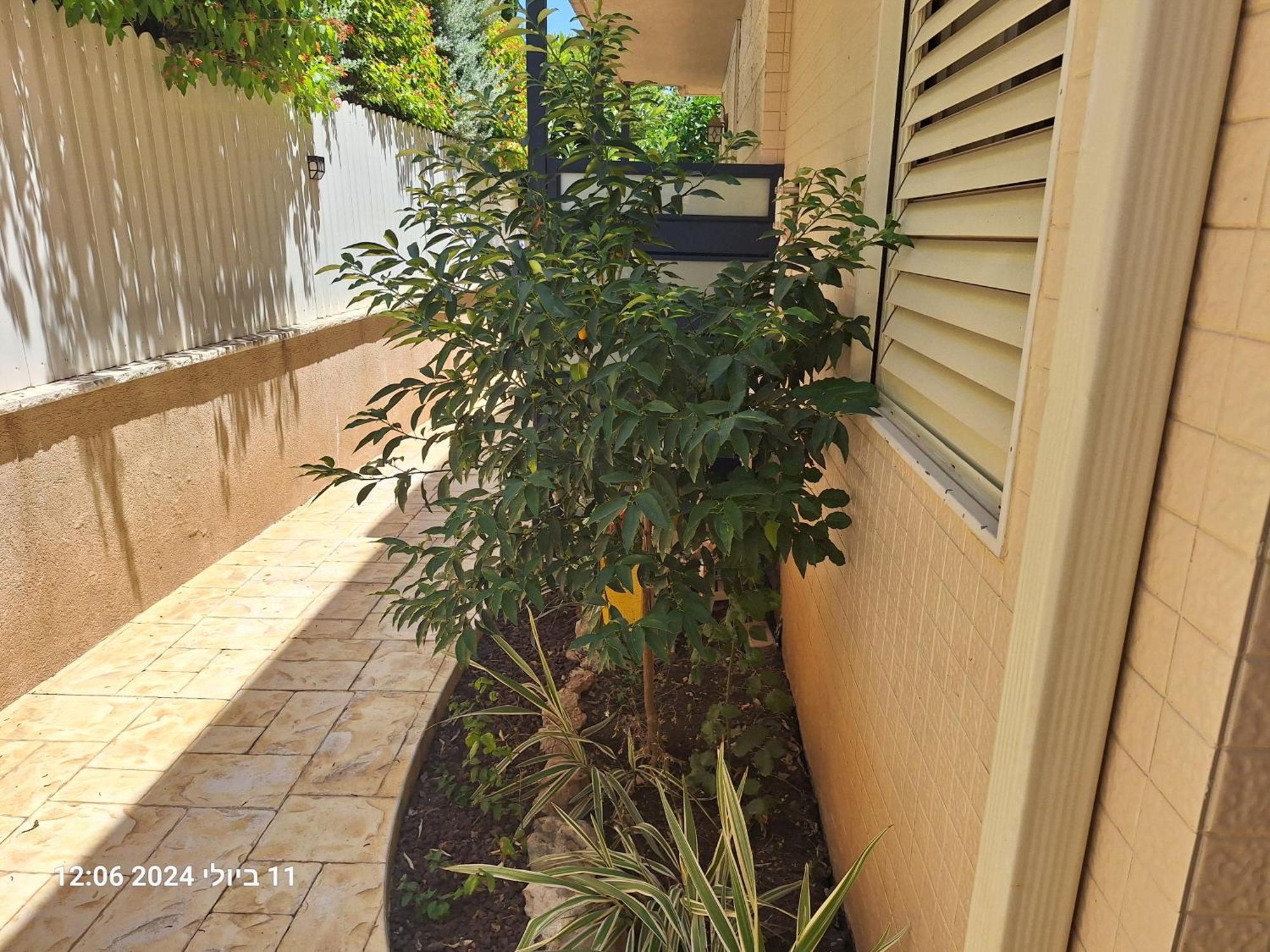 הבית הירוק Hotel Karmiel Bagian luar foto